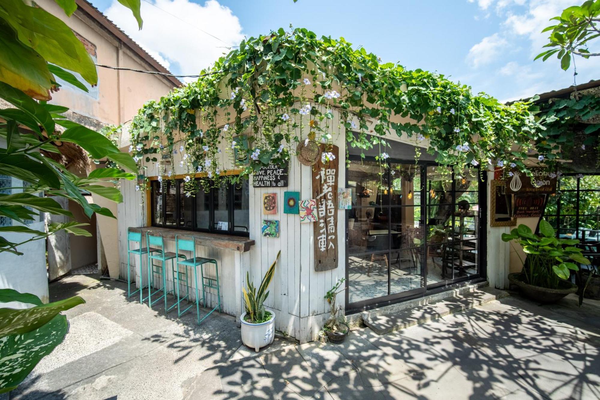 Auberge de jeunesse The Onion Collective